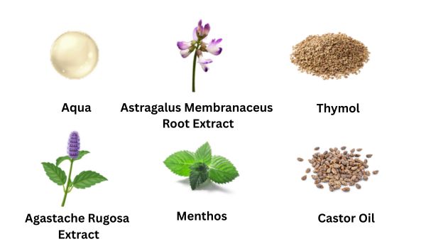 Fungexin Fungus Pen Ingredients